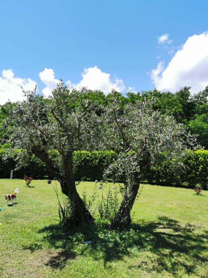 Villa Giulia Gragnola Luaran gambar
